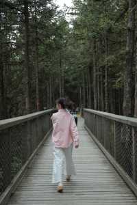 第一次去仙女山必睇——超全面避坑指南！
