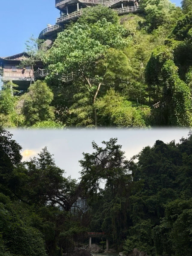 望仙谷暑假一日遊