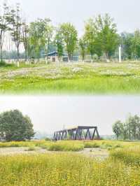 夏日消暑指南：黃昏去濕地公園追一場橘子味日落啦！
