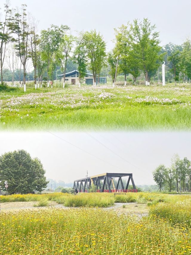 夏日消暑指南：黃昏去濕地公園追一場橘子味日落啦！