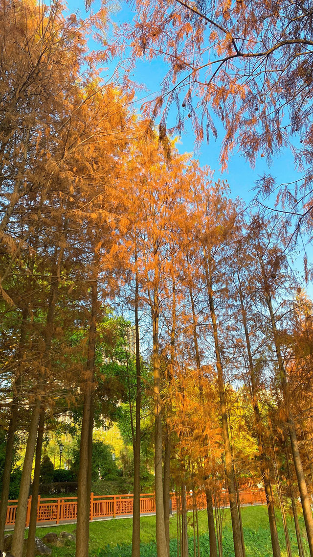 漳州龍文郊野公園：城市中的大自然