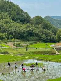 西安週末2h享受療癒·朱䴉小村
