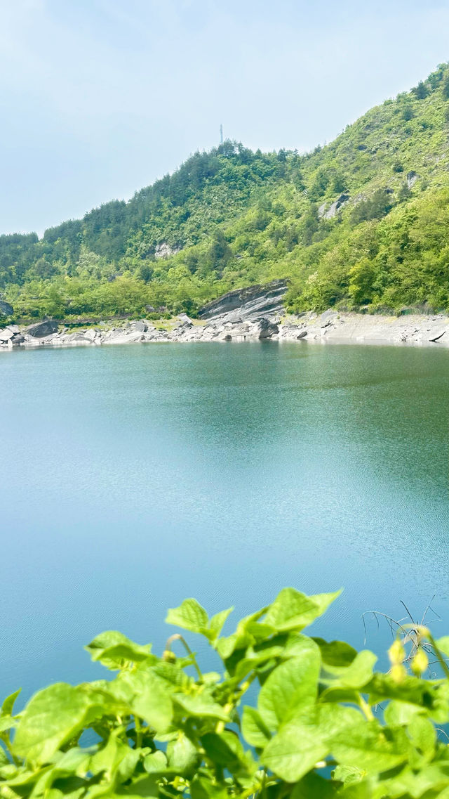 曝光！重慶呢個小眾「綠野仙蹤」畀我搵到啦！