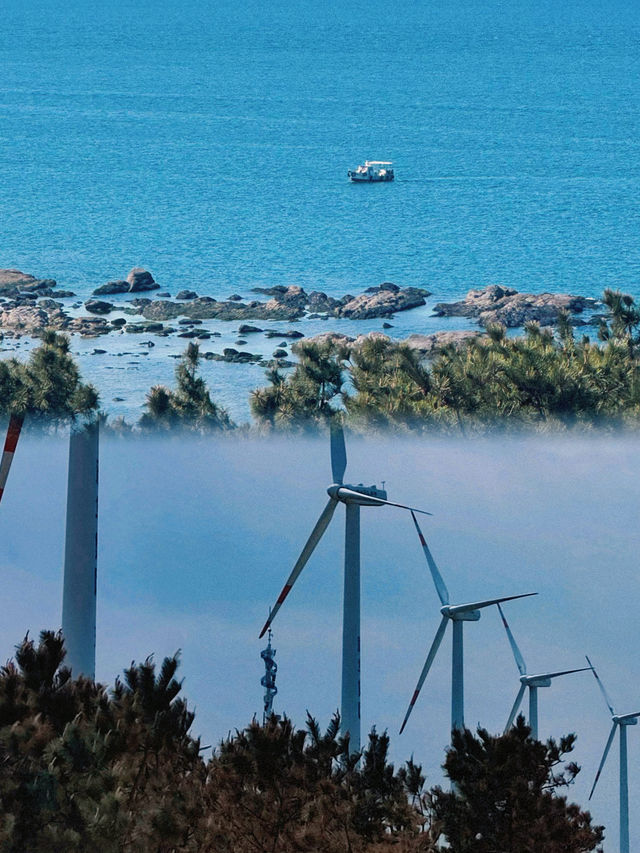 總要去趟威海吧！奔赴一場與海的約會