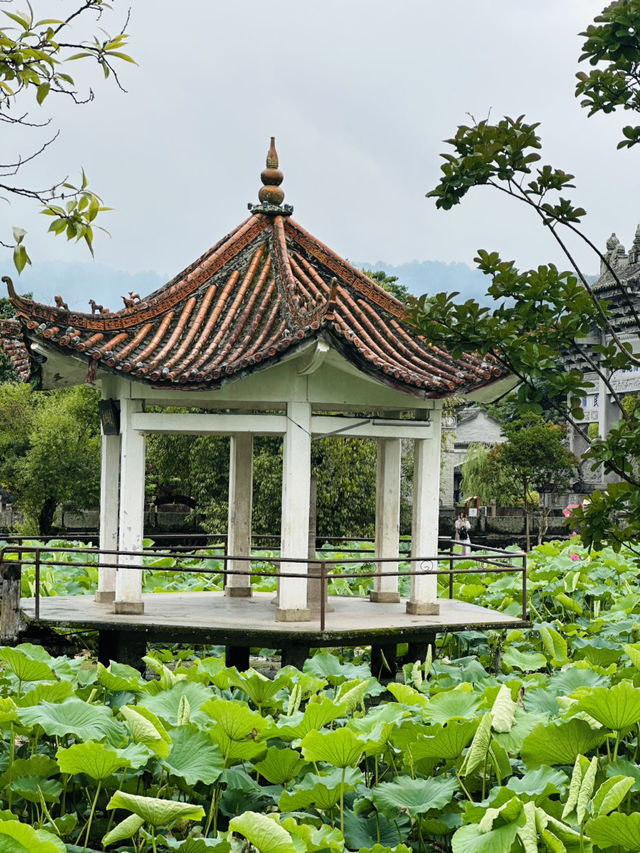 雨天來到騰沖和順古鎮，治癒了我所有的疲憊和焦慮