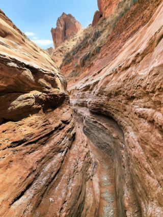 Ningxia Yancheng Dongfeng Grand Canyon: A Hidden Gem Worth Visiting