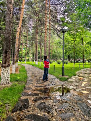A One-Day Tour of Jiamusi City Center