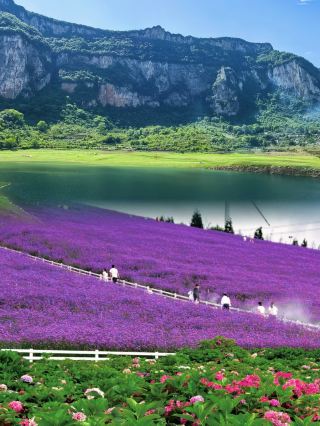 Back from Guiyang - Really Not Recommended to Go This Month, Just One Thing to Say.