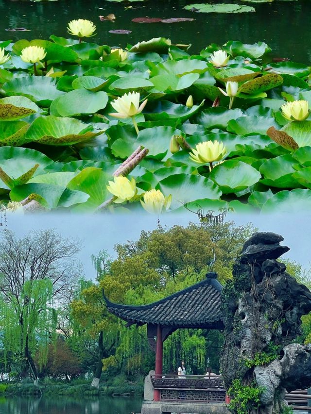 杭州｜西湖一日遊經典遊玩攻略！請收藏～