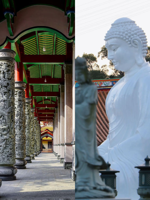 夏日出行｜NOA出發 · 仙岳山半日清旅