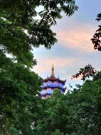 📖《昆山慧聚寺，鳳凰的親吻》