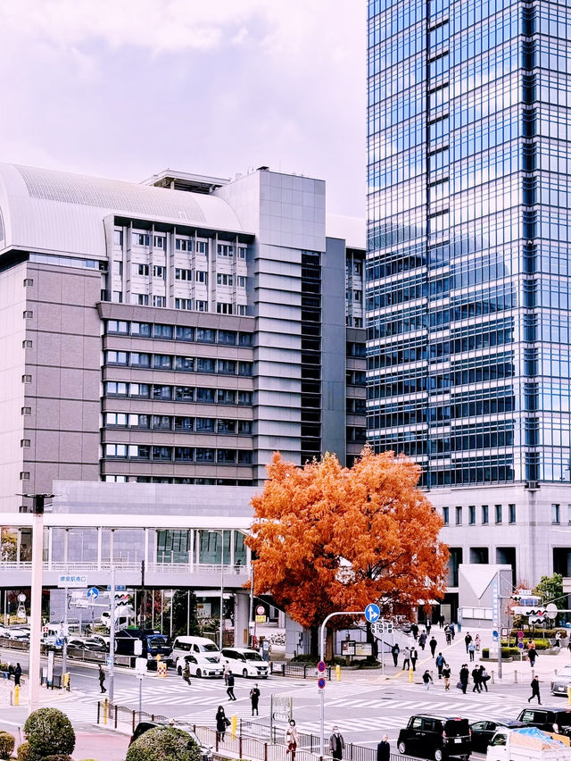 **【大阪堺市：千年古都的現代魅力】**  