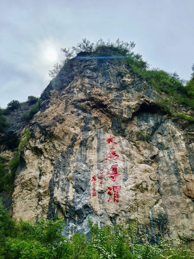 源頭微瀾處，聽見萬物初醒的聲音