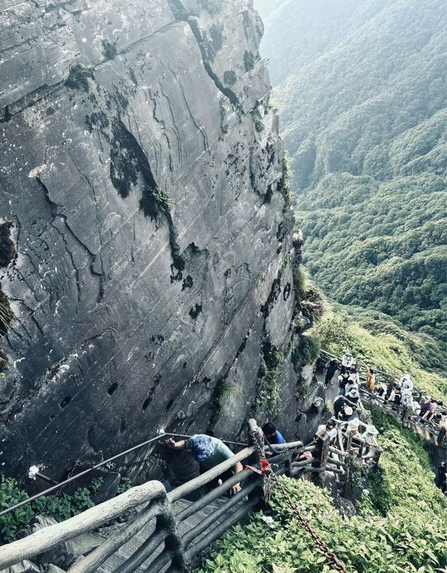 雲霧仙境蘑菇石