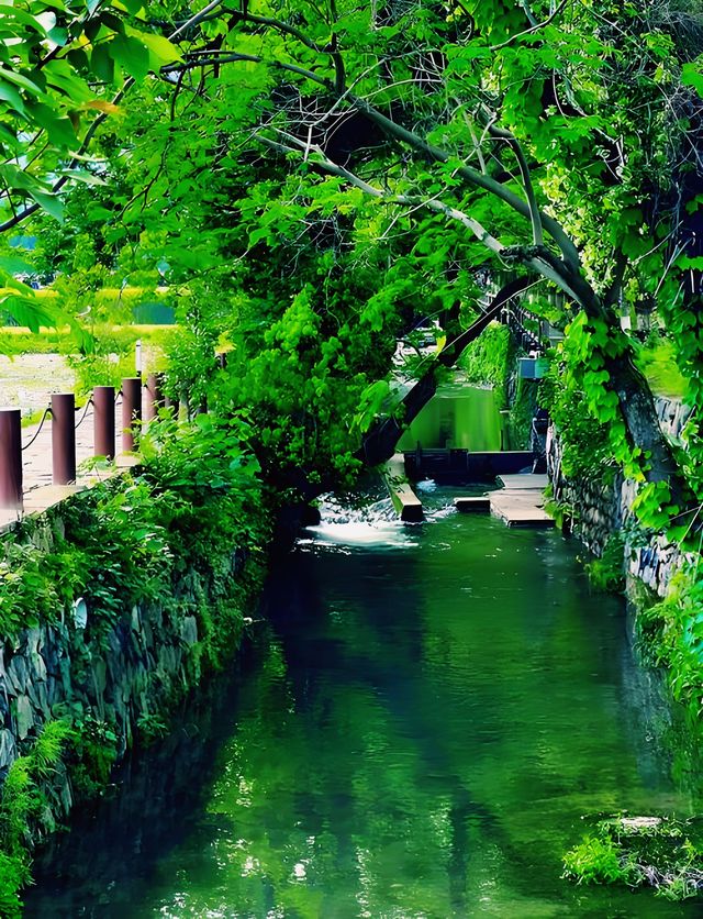 ** 住進山水畫！余村民宿體驗太治癒了！**