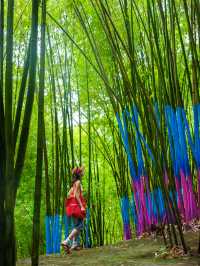 以為青城山已經夠涼快，直到我來到呢度……成都出發1h