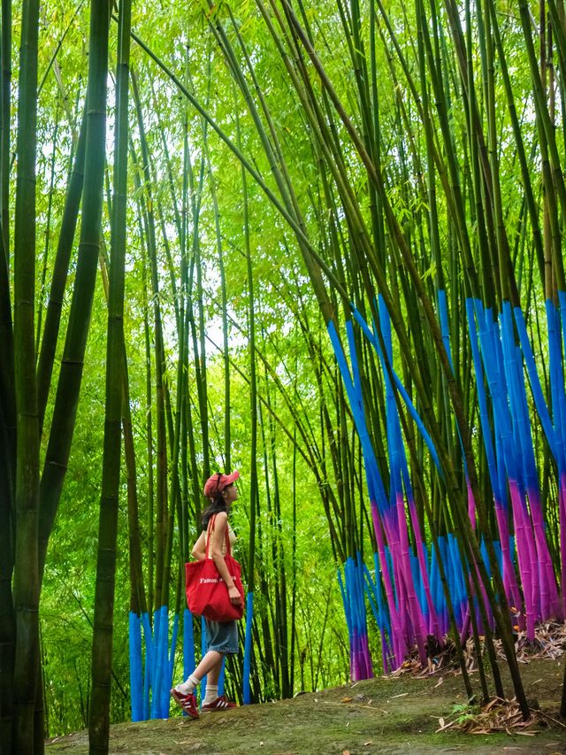 以為青城山已經夠涼快，直到我來到呢度……成都出發1h