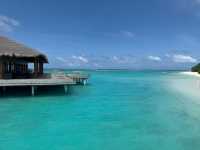 Island Bliss