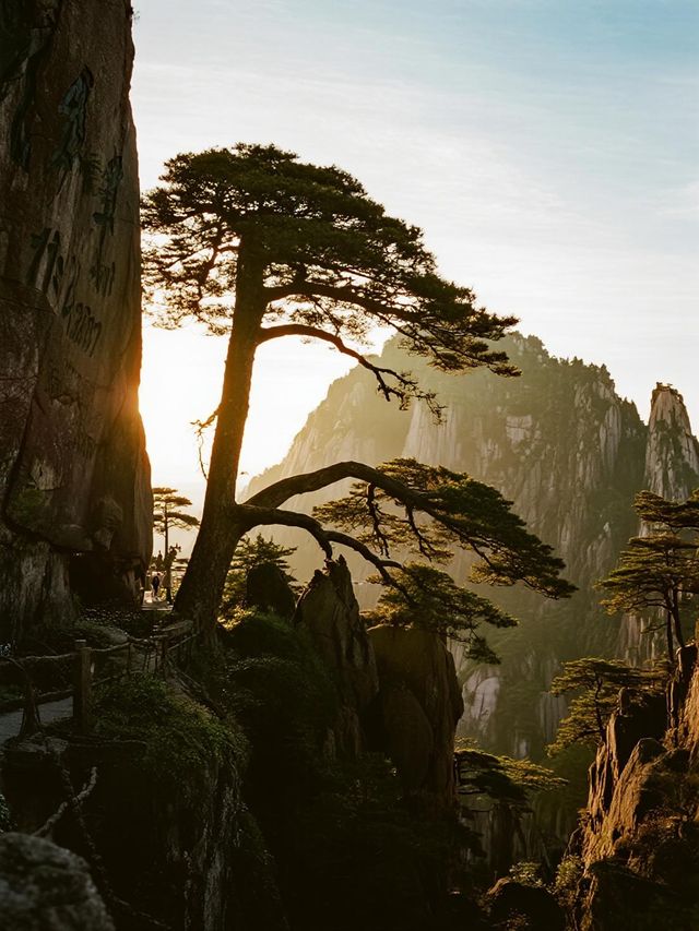帶娃去黃山！這些坑千萬別踩 帶娃爬黃山，本來是件有意義的事