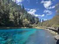 坐標西安，十一帶父母四川遊（第一篇）