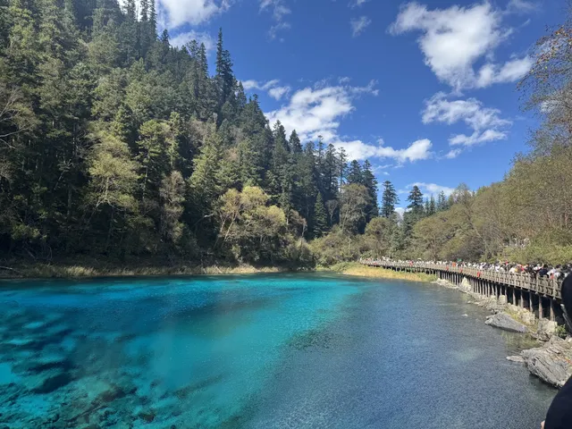 坐標西安，十一帶父母四川遊（第一篇）