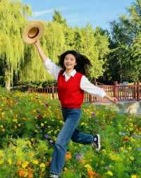 圓明園花海暴擊！一不小心闖進莫奈油畫世界