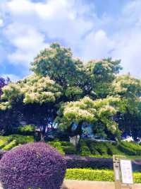 滇東秘境!曲靖深秋隱藏玩法上線,山水文化一鍵全含!