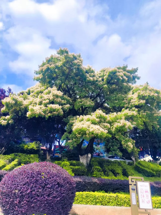 滇東秘境!曲靖深秋隱藏玩法上線,山水文化一鍵全含! 滇東秘境!曲靖深秋隱藏玩法上線,山水文化一鍵全含!