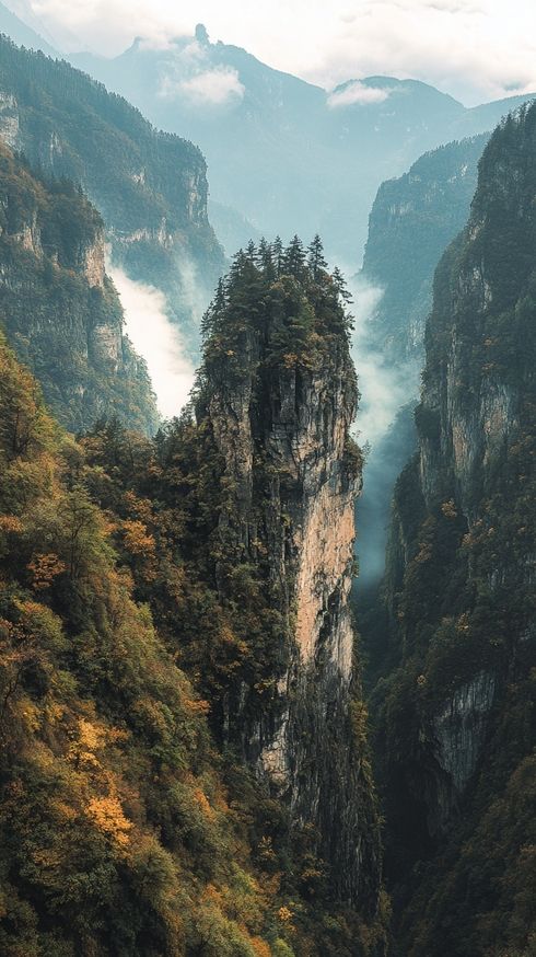 堪比香山紅葉的地方—四川光霧山