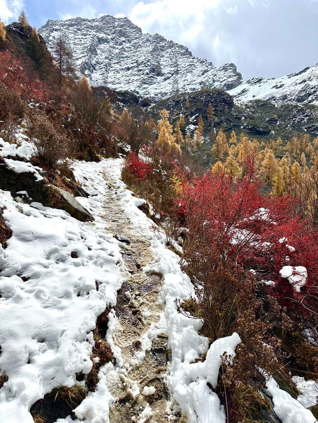 川西秘境：瑪嘉溝10月進階賞秋登頂指南
