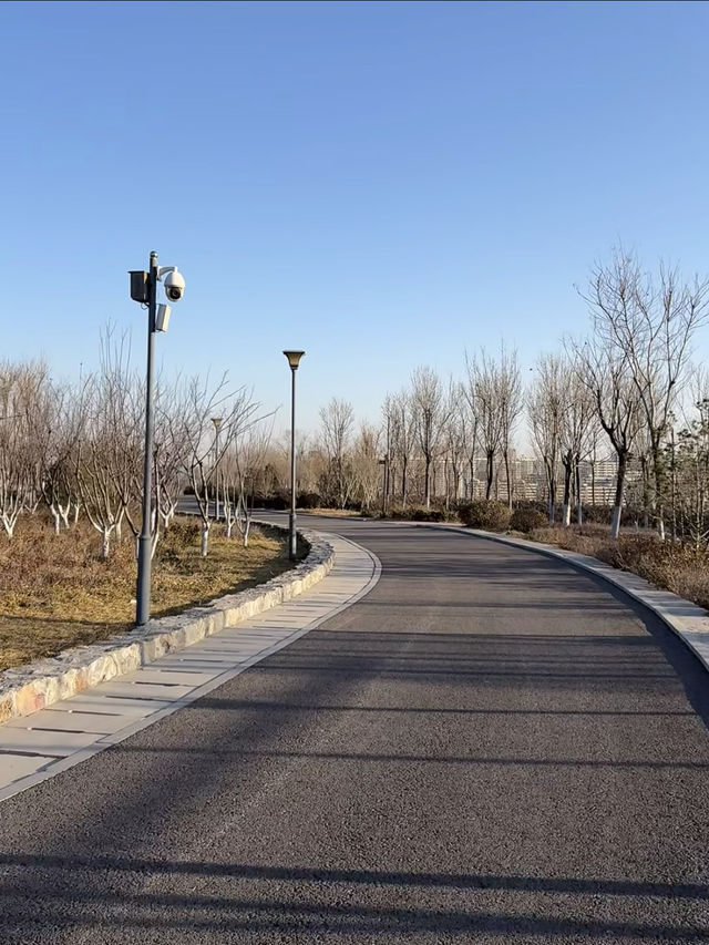濟南將山秋日攻略｜免費氧吧裡的遛娃、拍秋全指南