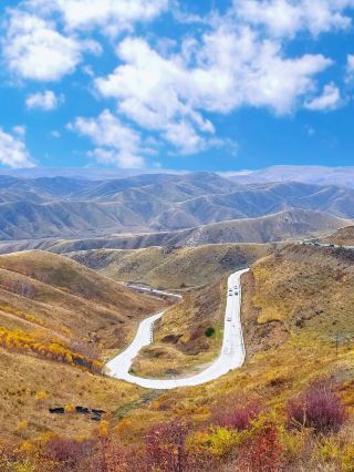 베이징 출발 2.5시간! 가을의 비밀 명소 홍조 구룡만, 황금빛 초원을 만나다