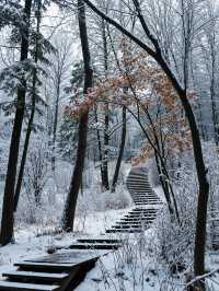 嵩山雪景