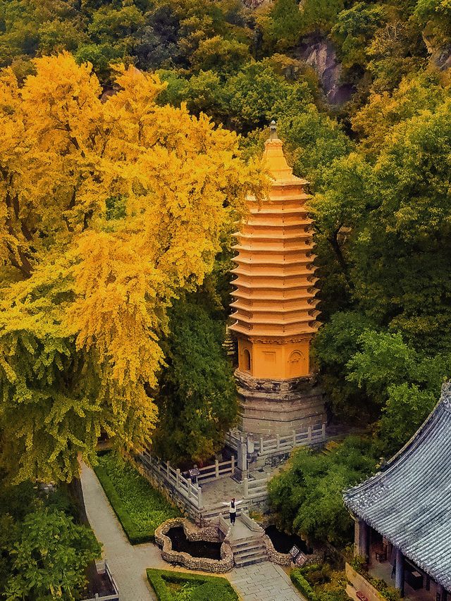 北京1.5h直達！乾隆32次踏足的仙山，秋日美成畫