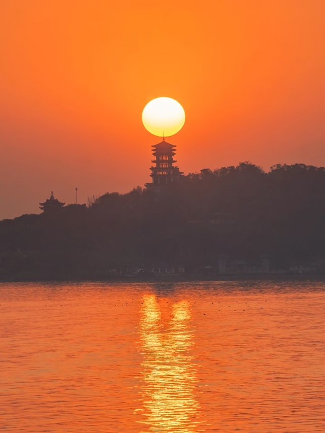 【太湖觀鳥指南｜在江南水鄉邂逅飛羽精靈】