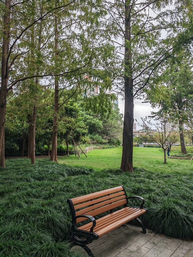 新虹橋公園漫步指南