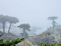 洛杉磯植物園 孔雀園 蓋蒂中心 天文台