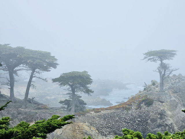 洛杉磯植物園 孔雀園 蓋蒂中心 天文台