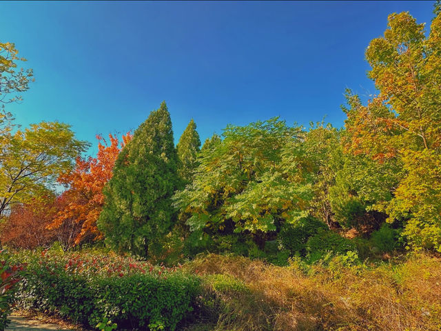 秋日漫步唐冶山公園