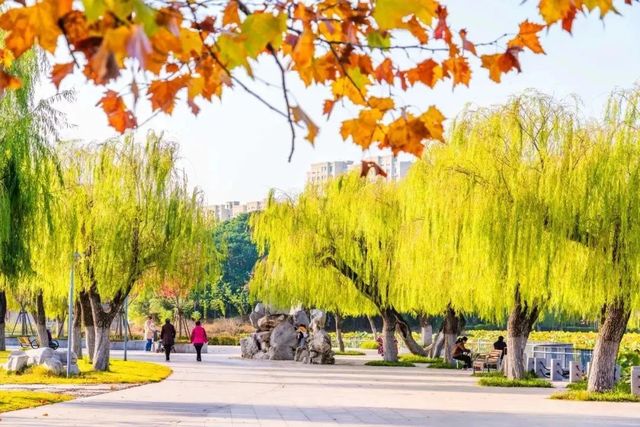 秋天就要逛公園！來雙珠公園看秋色斑斕！