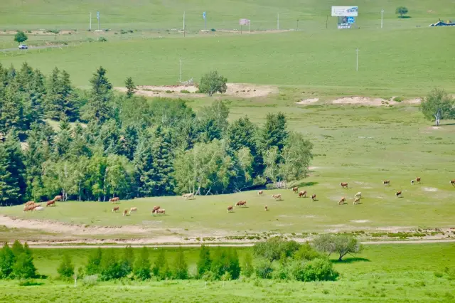 克什克テン旗で景色を楽しむ