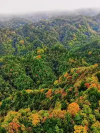 西安周邊|不愧陝南小九寨低估賞秋天花板