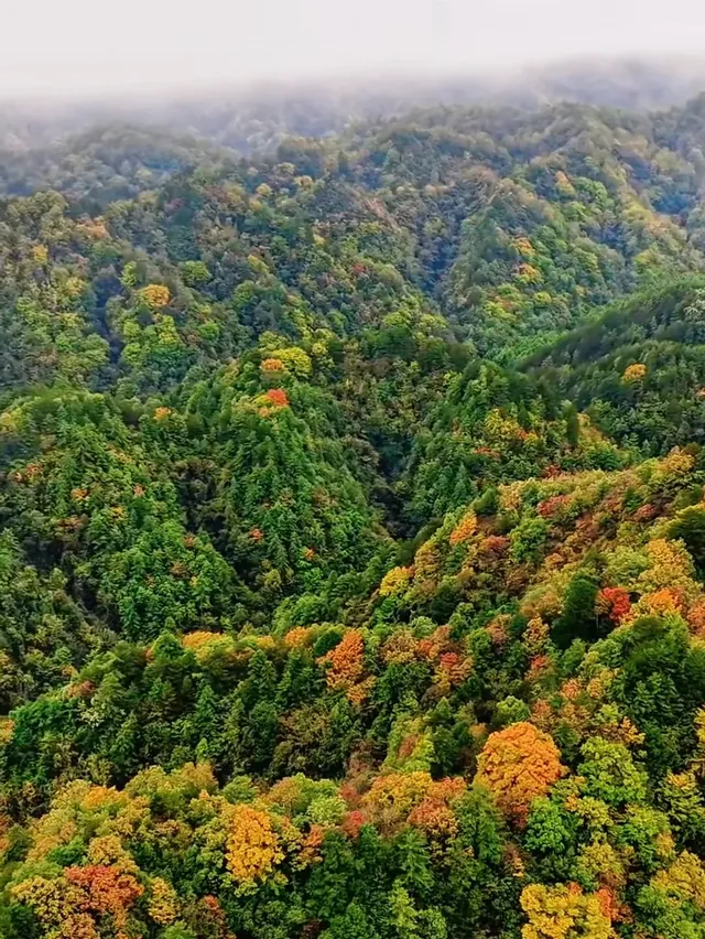 西安周邊|不愧陝南小九寨低估賞秋天花板