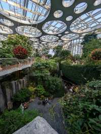 上海世博文化公園溫室花園超全攻略