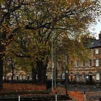 🍂에든버러 가을，일곱 번째 맞이하는 계절의詩