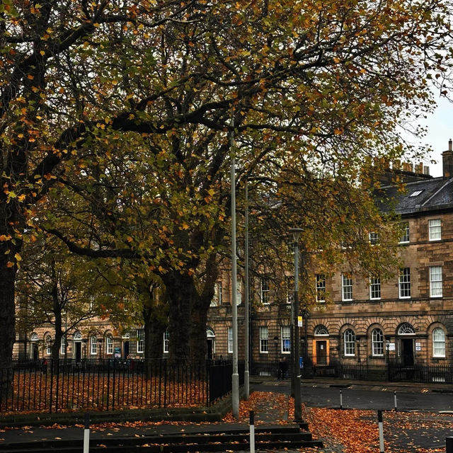 🍂에든버러 가을，일곱 번째 맞이하는 계절의詩