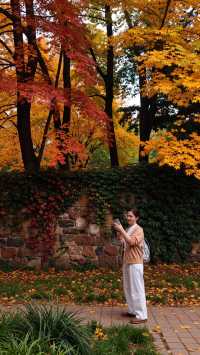 雲平山｜上帝打翻了秋天的調色盤小眾仙境太絕了