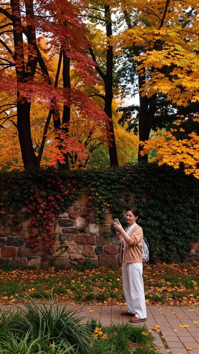 雲平山｜上帝打翻了秋天的調色盤小眾仙境太絕了