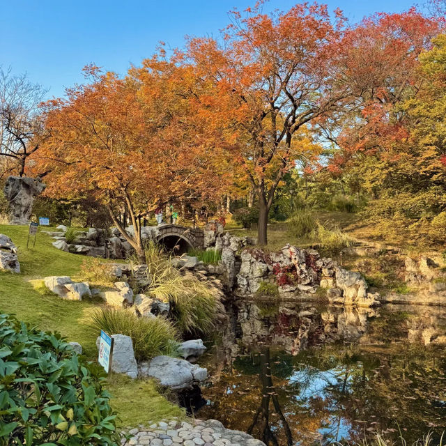 청도의 가을, 이 공원에서 모든 걱정이 사라졌어요 🍂