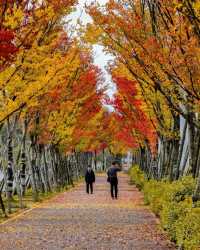 貴陽是五顏六色，多姿多彩的